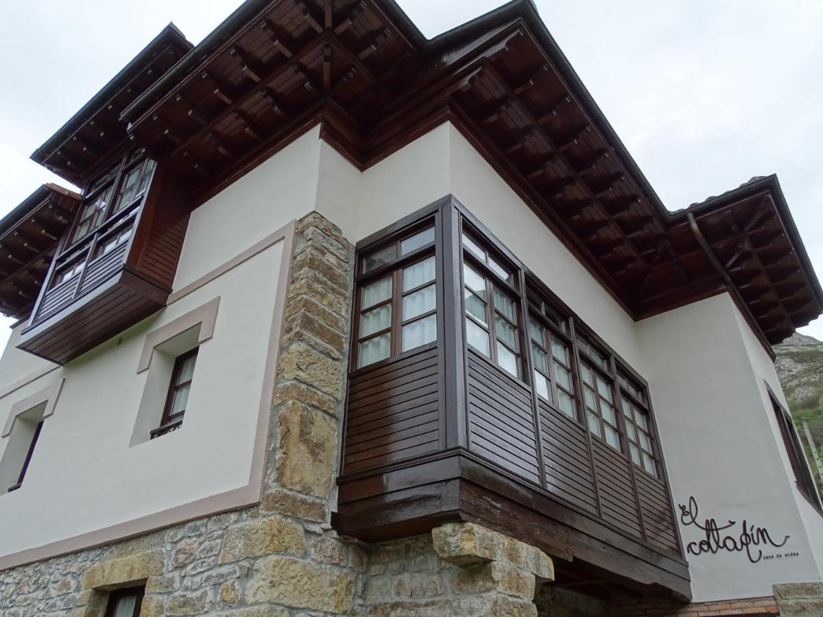 El Colladin Guest House Llerices Ngoại thất bức ảnh