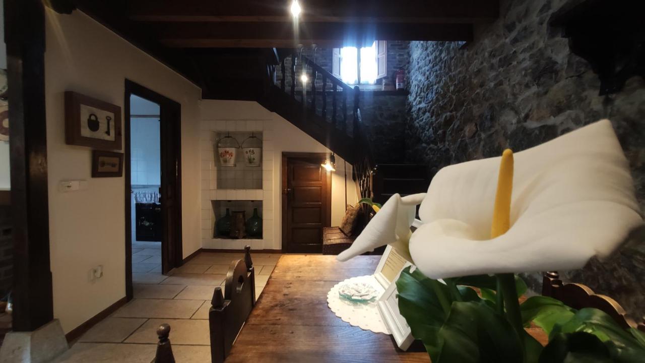 El Colladin Guest House Llerices Ngoại thất bức ảnh