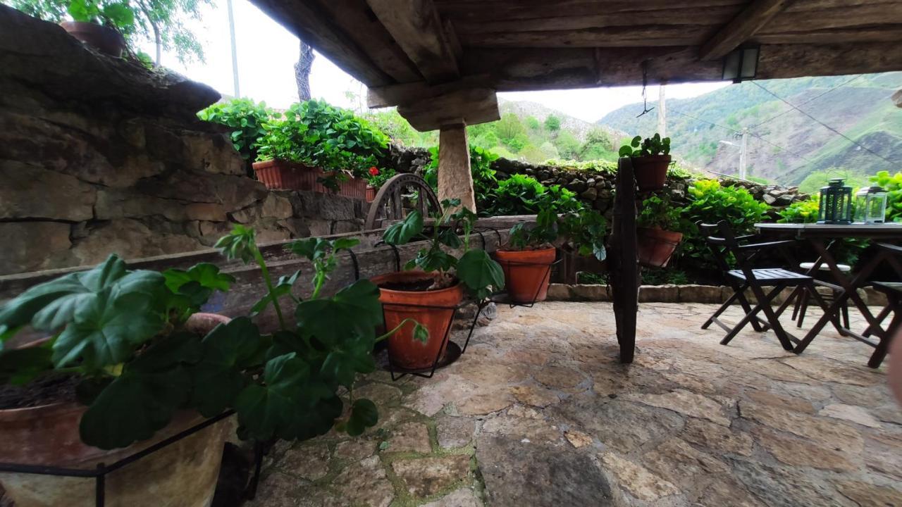 El Colladin Guest House Llerices Ngoại thất bức ảnh